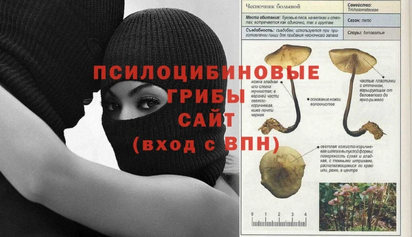 mdma Вяземский